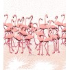 FUNDA NÓRDICA FLAMINGO'S FLOCK PINK